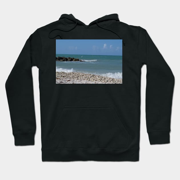 Waves at Fort Zach Hoodie by seacucumber